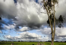 兰博电竞- 梅西重要时刻出色发挥，MAD带队取胜！气势如虹延续